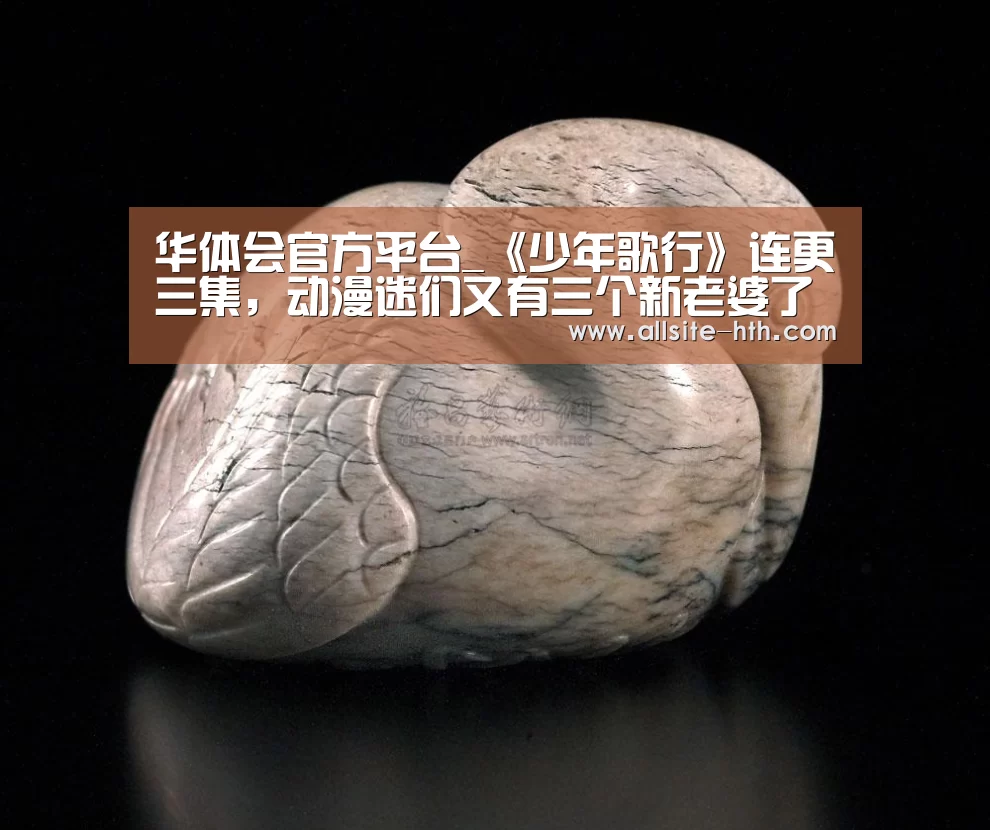 华体会体育